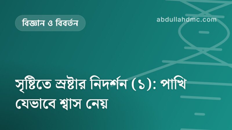 সৃষ্টিতে স্রষ্টার নিদর্শন (১): পাখি যেভাবে শ্বাস নেয়