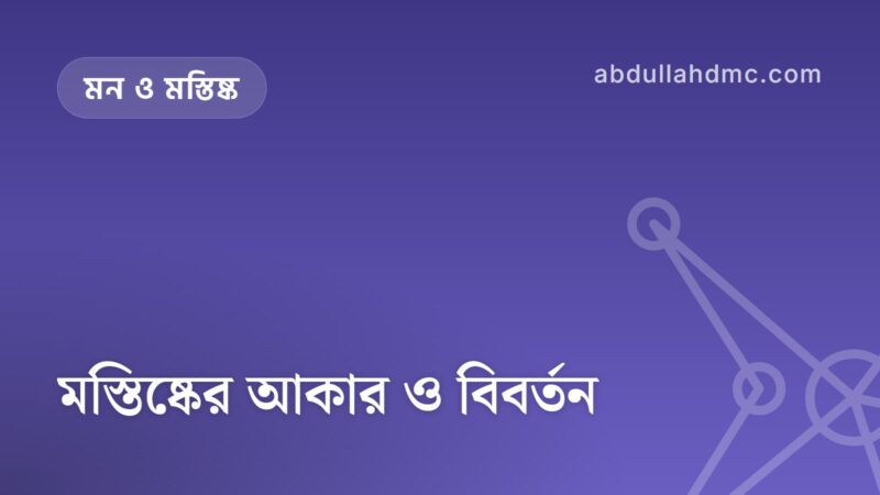 মস্তিষ্কের আকার ও বিবর্তন