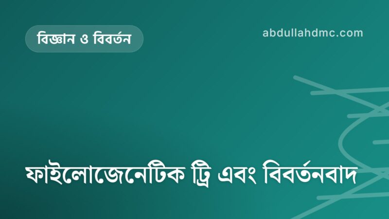 ফাইলোজেনেটিক ট্রি এবং বিবর্তনবাদ