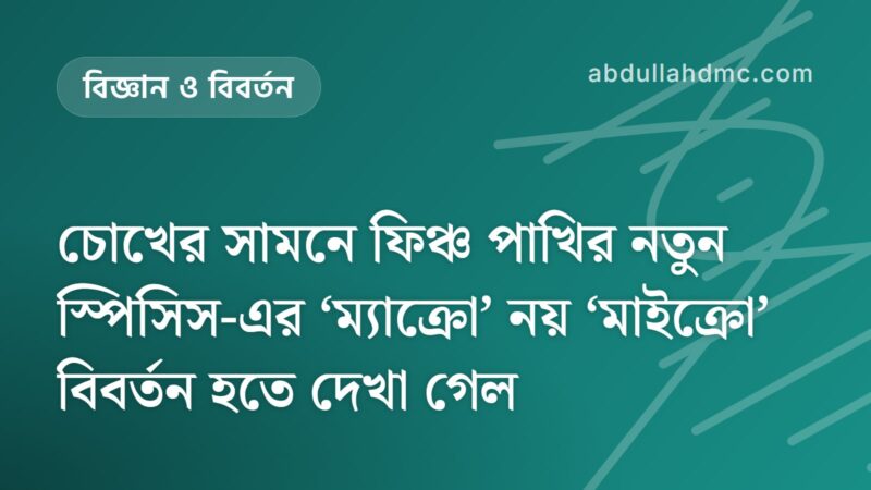 চোখের সামনে ফিঞ্চ পাখির নতুন স্পিসিস-এর ‘ম্যাক্রো’ নয় ‘মাইক্রো’ বিবর্তন হতে দেখা গেল
