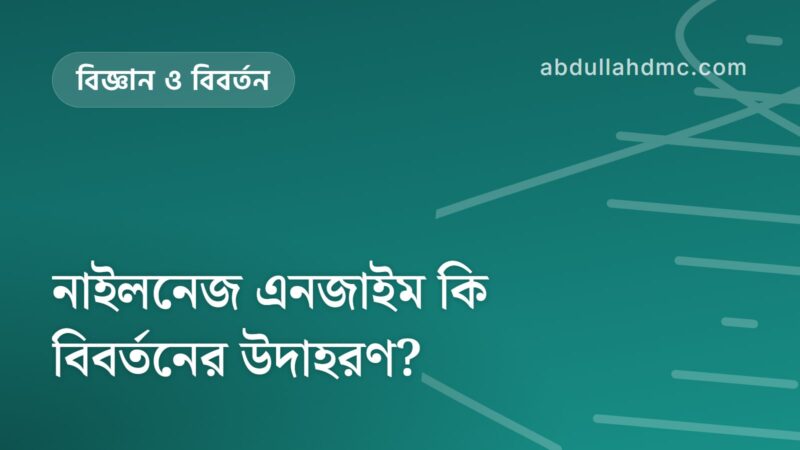 নাইলনেজ এনজাইম কি বিবর্তনের উদাহরণ?