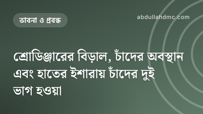 শ্রোডিঞ্জারের বিড়াল, চাঁদের অবস্থান এবং হাতের ইশারায় চাঁদের দুই ভাগ হওয়া