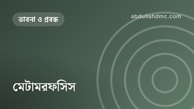 মেটামরফসিস