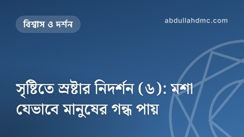 সৃষ্টিতে স্রষ্টার নিদর্শন (৬): মশা যেভাবে মানুষের গন্ধ পায়