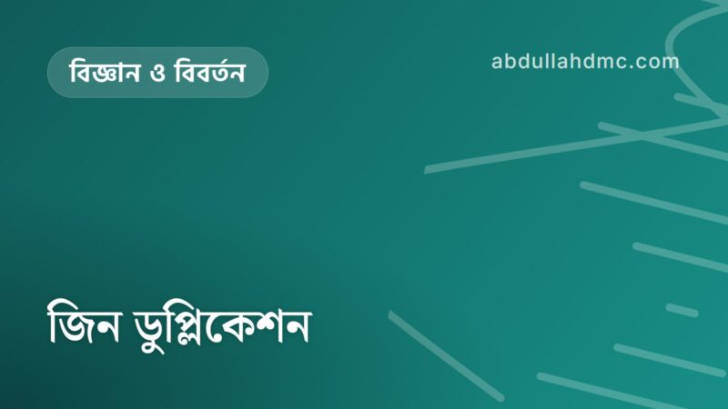 জিন ডুপ্লিকেশন